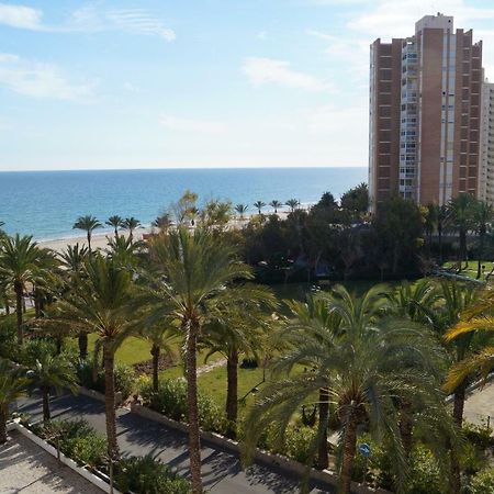 barbara 20 playa muchavista alicante El Campello Luaran gambar